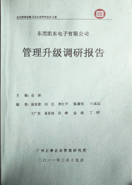 2011年3月15日，正睿咨詢專家向凱東決策層陳述調(diào)研報告