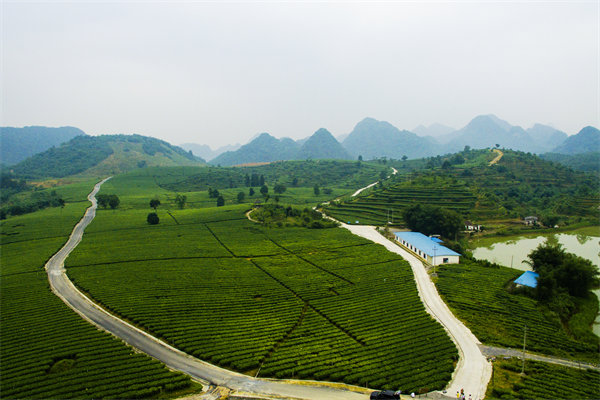 清遠(yuǎn)管理咨詢機(jī)構(gòu)的定制化服務(wù)方面包含哪些內(nèi)容？